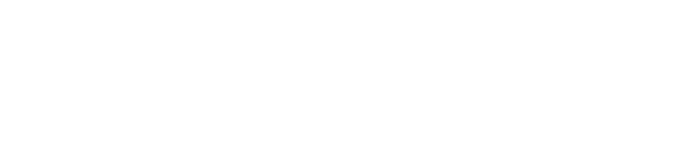 Wordmark on dark